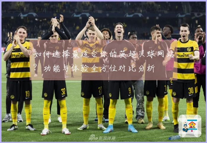 如何选择最适合你的英超买球网站？功能与体验全方位对比分析