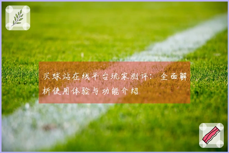 买球站在线平台玩家测评：全面解析使用体验与功能介绍