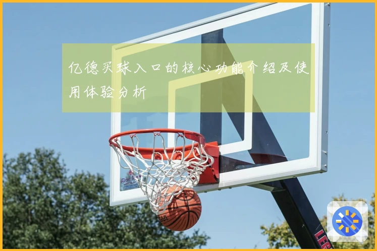 亿德买球入口的核心功能介绍及使用体验分析