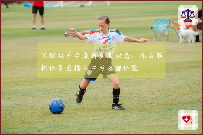 买球站平台最新发展动态，深度解析体育直播入口与功能体验