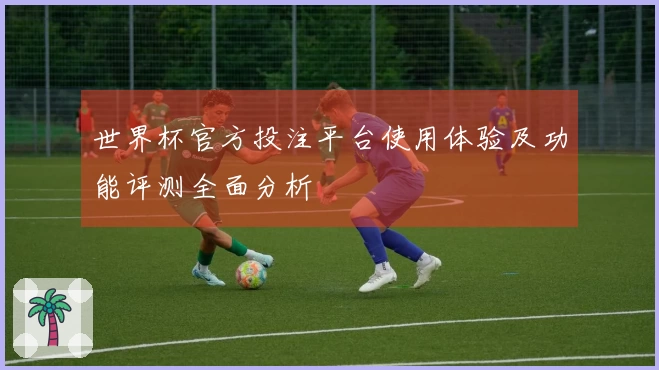 世界杯官方投注平台使用体验及功能评测全面分析